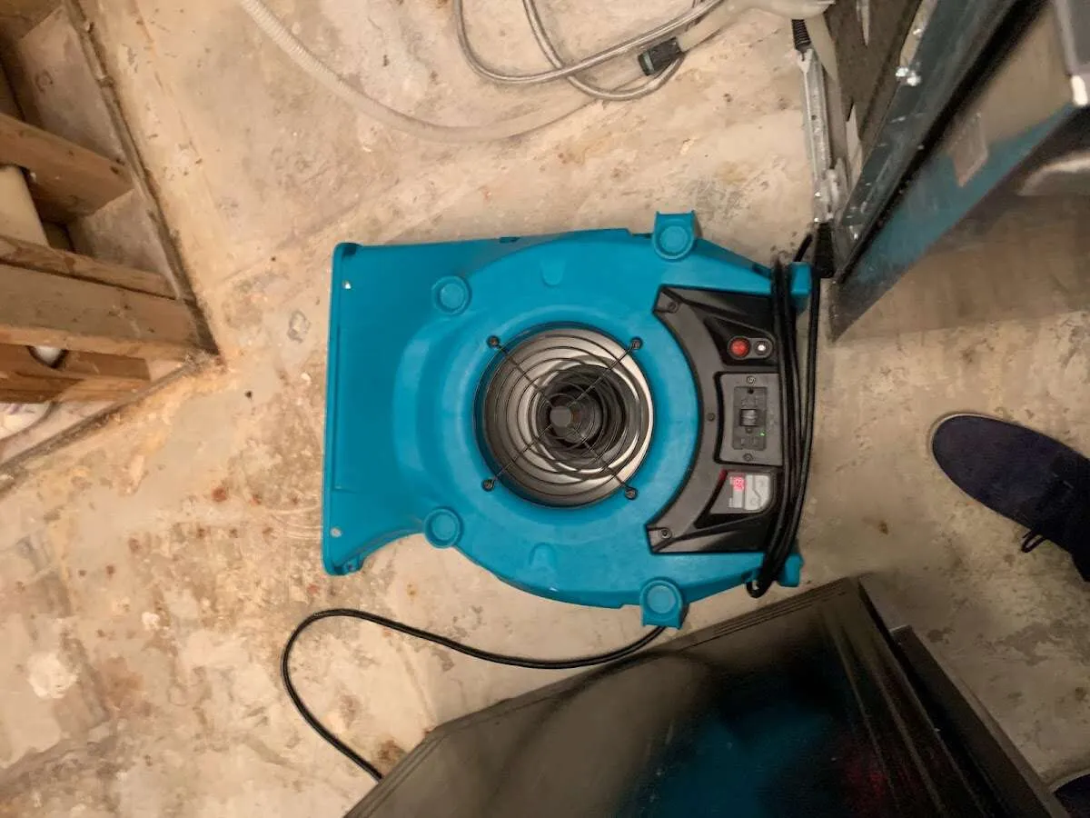 Air mover drying equipment for Mold Remediation & Removal in Las Flores