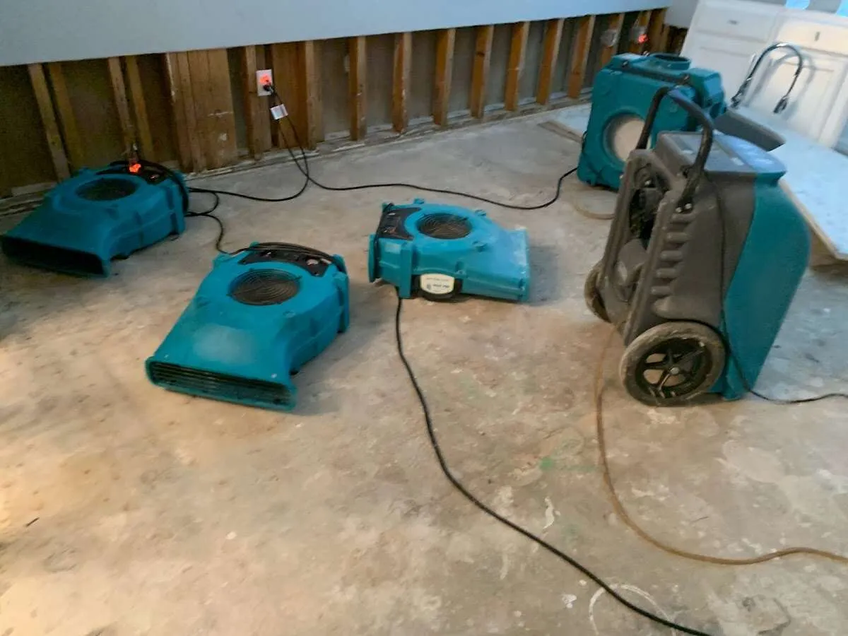 Water Damage Restoration services in Las Flores, CA